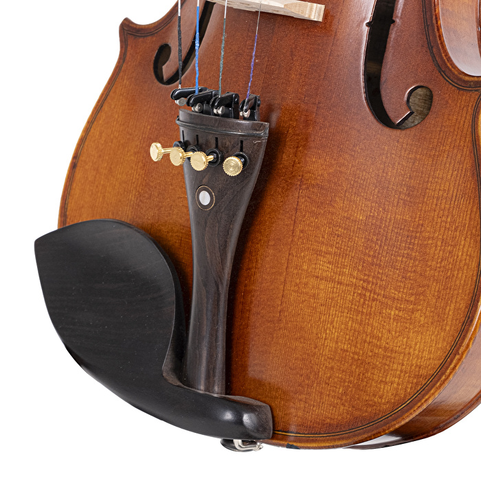 VANETTA VL-5 / 3/4 Masif Keman (Abanoz Burgu ve Aksam)